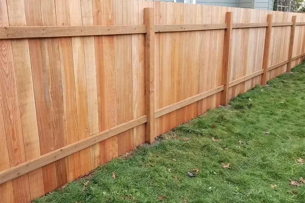 0-Standard-PT-PT-DE-Cedar